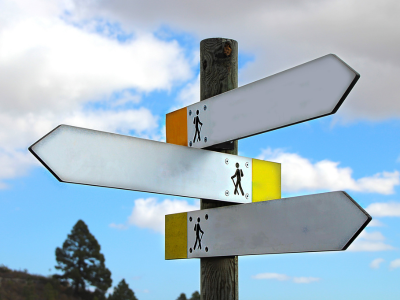 paths after homeschool